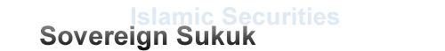 Islamic Finance Solution
