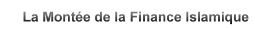 Islamic Finance Solution